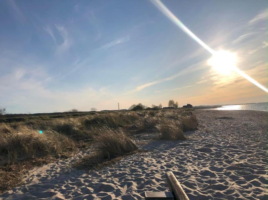 Neue Ferienwohnung Kuestennaehe Mit Terrasse 3Km Zum Strand Осдорф Экстерьер фото